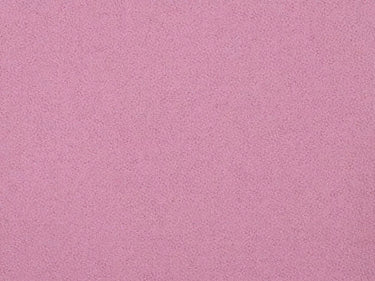 Pink finish swatch