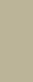 Light Sand finish