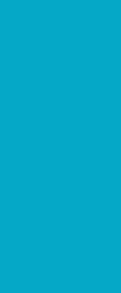 Aqua Blue finish